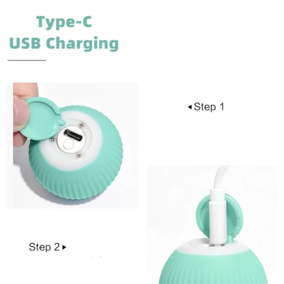 Cat Smart Ball! - Picture 2 of 5